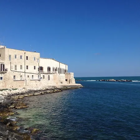 Lilla Molfetta